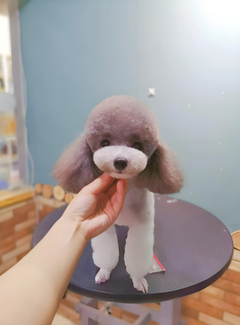 ✨❤️서연❤️✨